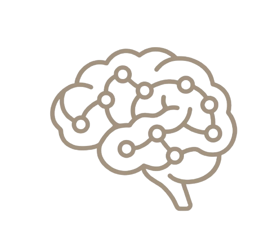 cerebro psicologia